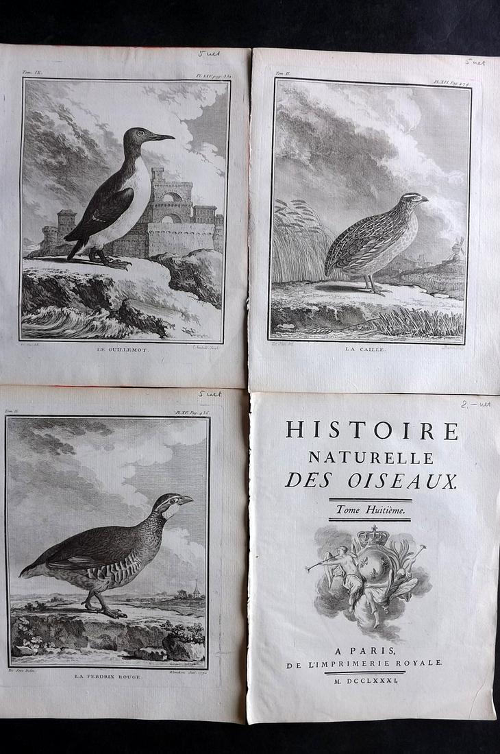 Buffon, Comte de 1781 Lot 3 First Edition Bird Prints + Engraved Title (1 of 2)