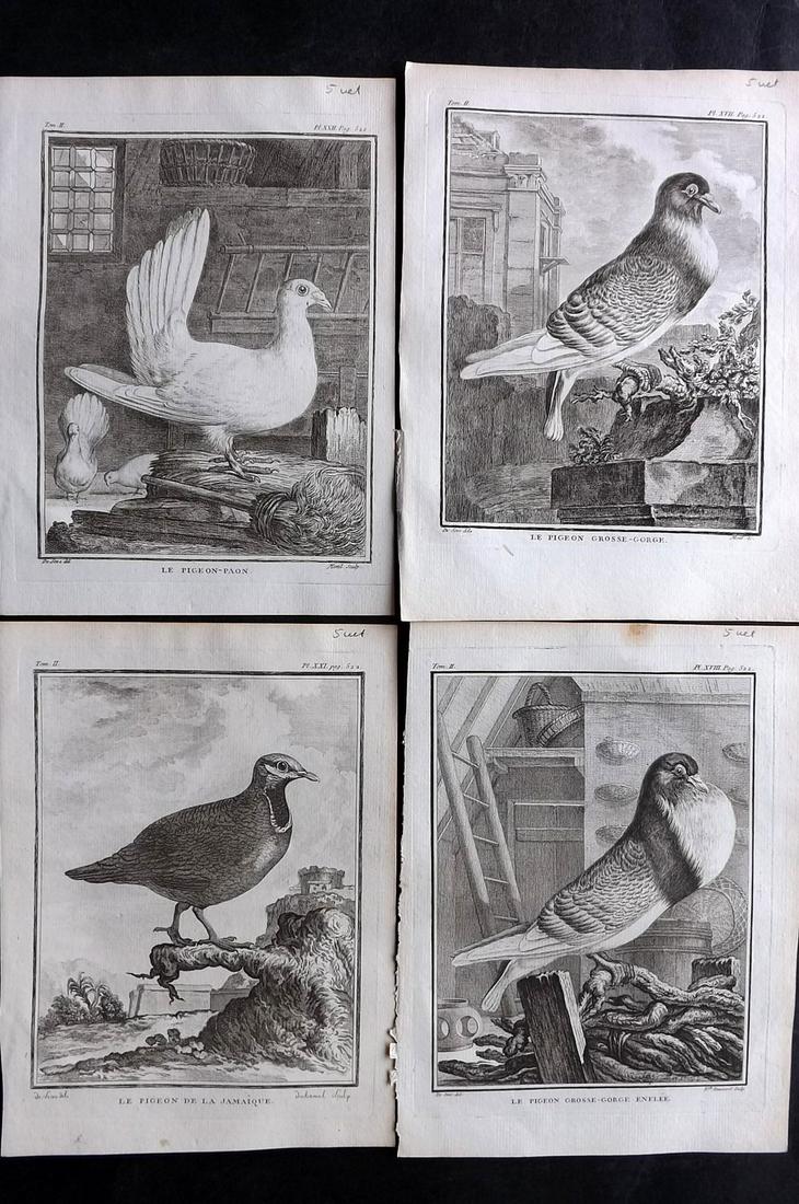 Buffon, Comte de 1781 Lot 4 First Edition Bird Prints (1 of 2)