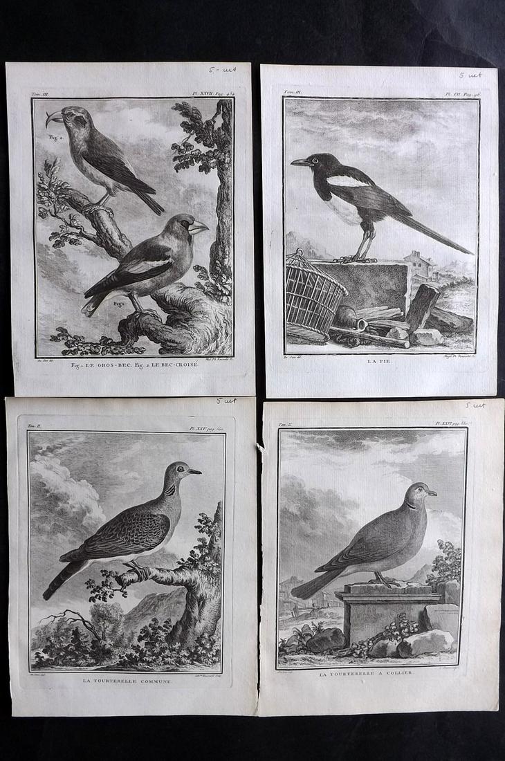 Buffon, Comte de 1781 Lot 4 First Edition Bird Prints (1 of 2)