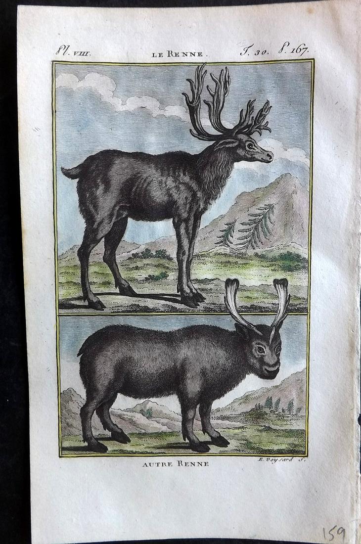 Buffon & Sonnini C1800 Hand Col Print. Reindeer: Hand Colored Copper Plate Published 1799-1808, Paris for "Histoire naturelle générale et particulière" by the Comte de Buffon and Charles Nicolas Sigisbert Sonnini. Paper Size: 7.5 x 5 inch (19 x 1