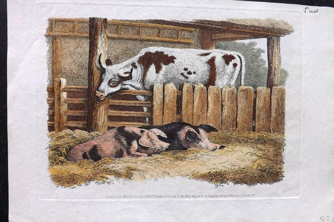 Howitt, Samuel 1811 Hand Col Print. Cattle & Pigs (1 of 2)