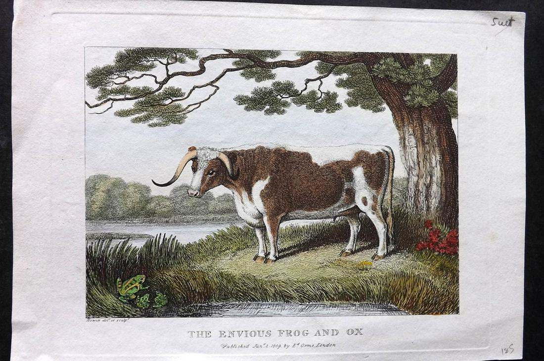 Howitt, Samuel 1811 Hand Col Print. The Envious Frog and Ox (1 of 2)