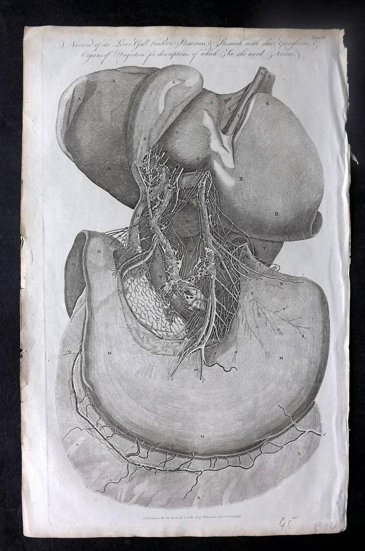 Hall, William 1789 Folio Anatomy Print. Nerves of Liver, Gall Bladder, Pancreas (1 of 2)