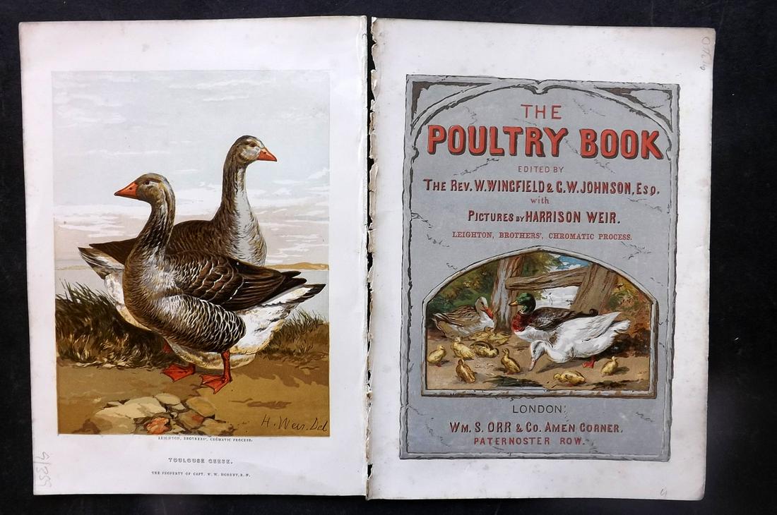 Weir, Harrison 1853 Pair of Antique Bird Prints, Toulouse Geese etc (1 of 2)