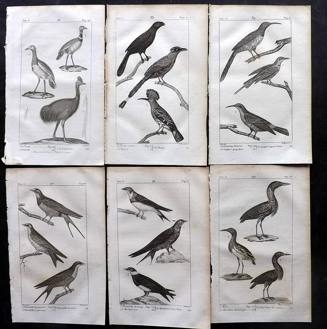 Buffon, Comte de 1825 Lot of 6 Antique Bird Prints: Copper Plate Published 1825, Paris for "Oeuvres Completes De Buffon" by the Comte de Buffon and Bernard Lacepede. Paper Size: 8 x 5 inch (20 x 13cm) Good Condition