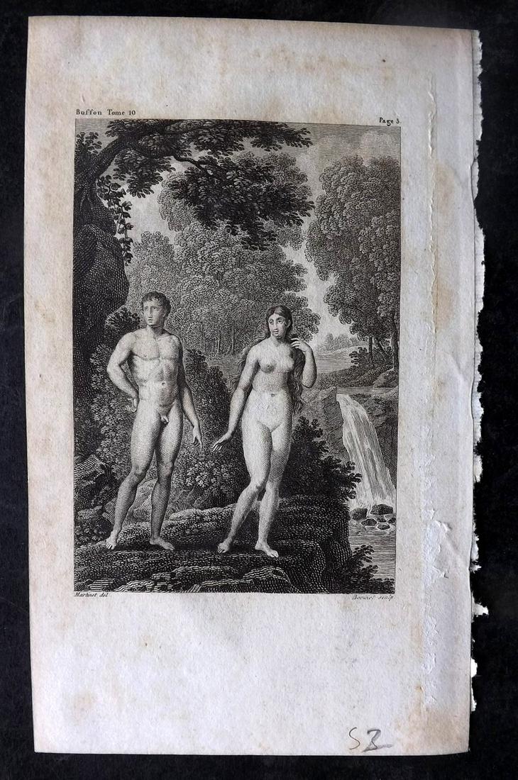 Buffon, Comte de 1825 Antique Print. Adam & Eve (1 of 1)