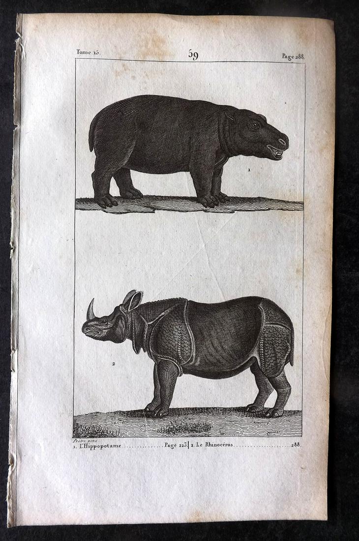 Buffon, Comte de 1825 Antique Print. Hippo & Rhino 59 (1 of 1)