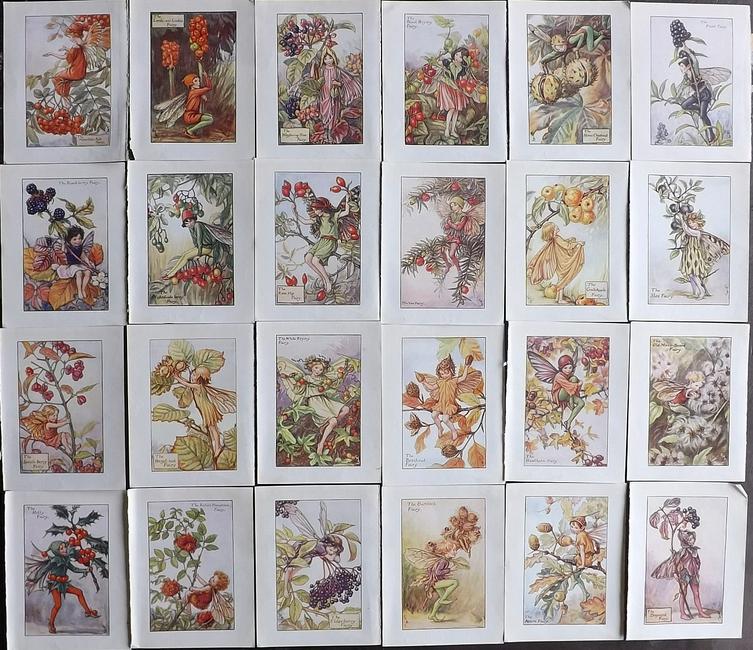 Barker, Cicely Mary C1940 Lot of 24 Flower-Fairy Prints - Autumn Fairies: Autumn Fairies. Lithographs Published C1935-45 by Blackie & Son, London & Glasgow for the "Flower-Fairies" Series by Cicely Mary Barker. Reverse side blank. Paper Size: 5.5 x 4 inch (14 x 10cm) Good C