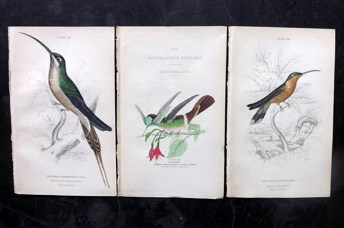 Jardine, William C1840 Lot of 3 Hand Col Hummingbird Prints incl Title (1 of 2)