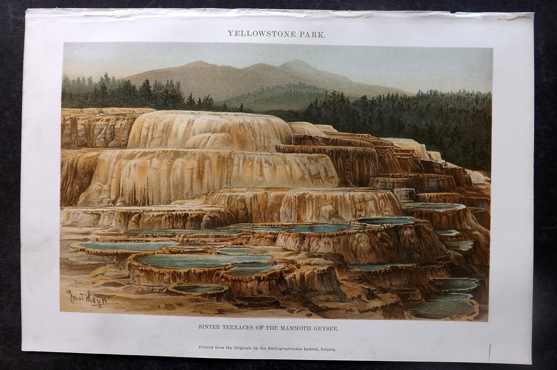 Annandale, Charles 1903 Print. Mammoth Geysey, Yellowstone USA (1 of 1)