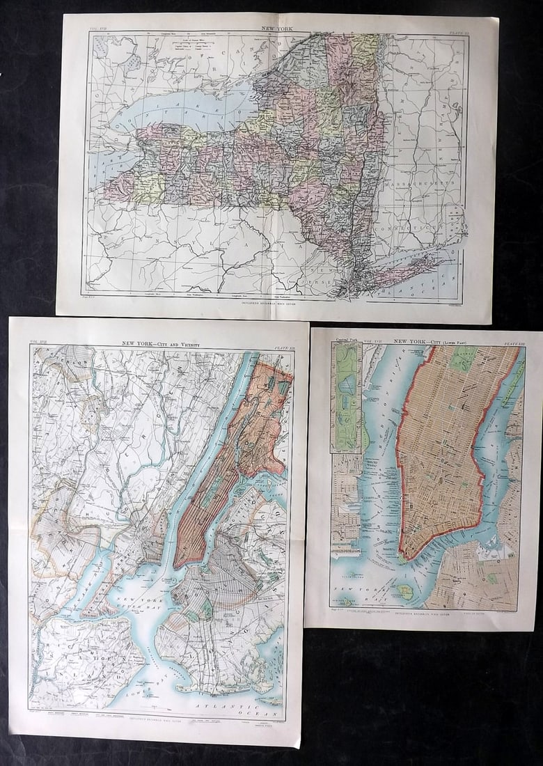 Encyclo. Britannica C1880 Lot of 3 Maps of New York (1 of 2)