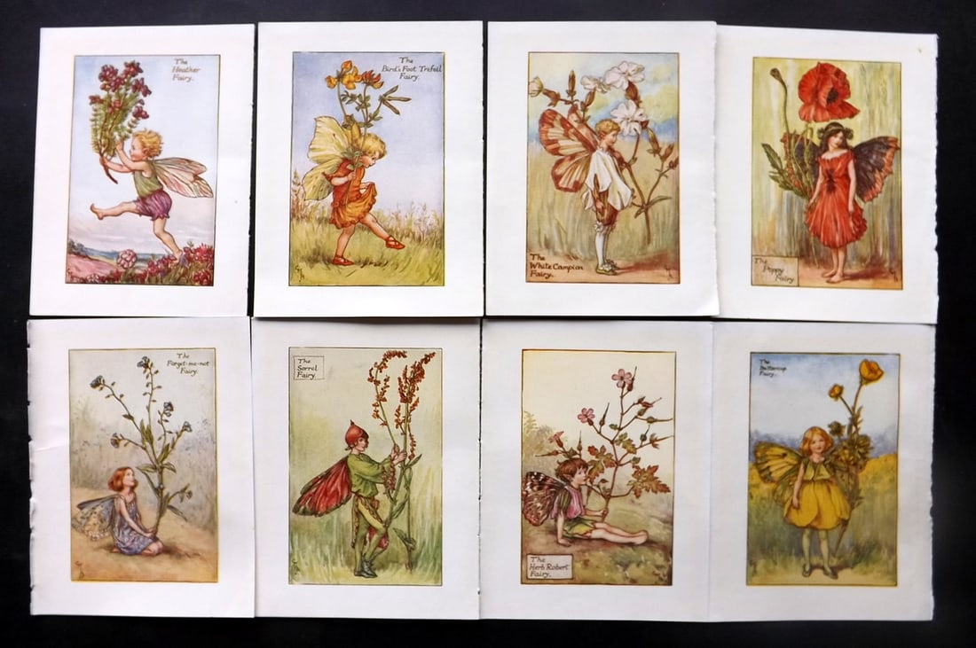 Barker, Cicely Mary C1940 Lot of 8 Flower-Fairy Prints - Summer Fairies: Summer Fairies. Lithographs Published C1935-45 by Blackie & Son, London & Glasgow for the "Flower-Fairies" Series by Cicely Mary Barker. Reverse side blank. Paper Size: 5.5 x 4 inch (14 x 10cm) Good C