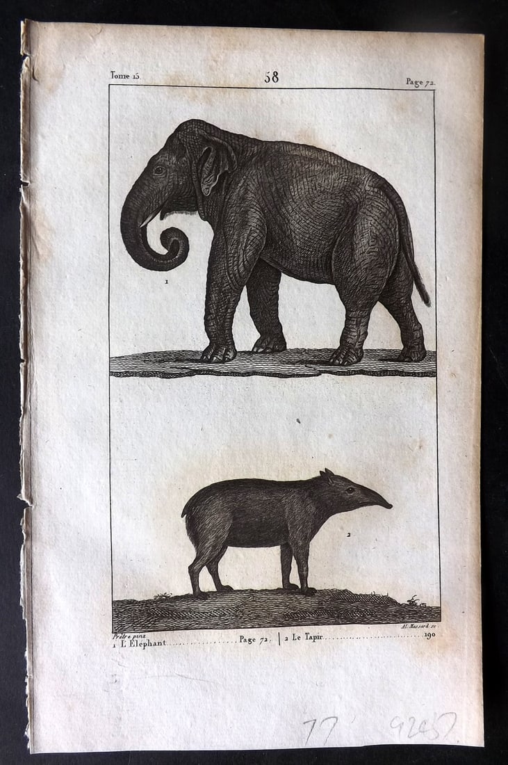 Buffon, Comte de 1825 Antique Print. Elephant and Tapir (1 of 1)