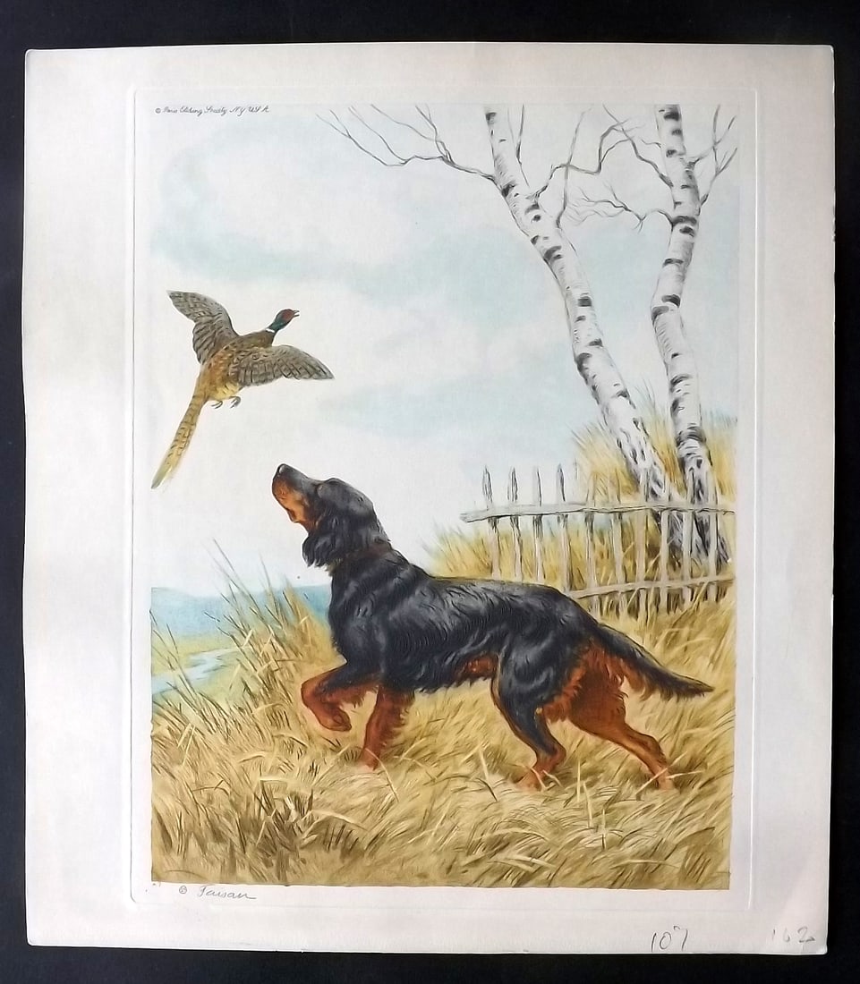 Wood, Paul C1935 Signed Dog Etching. Faisan (1 of 2)