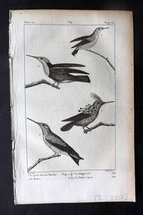 Buffon, Comte de 1825 Antique Bird Print. Hummingbirds 70: Copper Plate Published 1825, Paris for "Oeuvres Completes De Buffon" by the Comte de Buffon and Bernard Lacepede. Paper Size: 8 x 5 inch (20 x 13cm) Minor margin toning. Good Condition