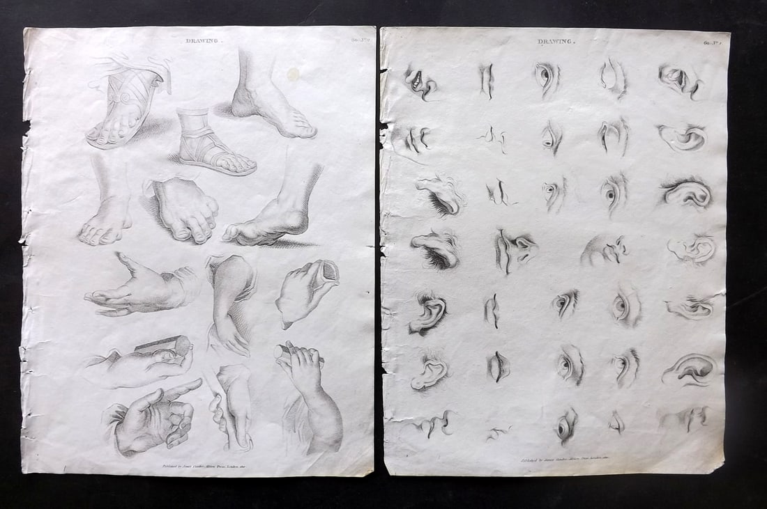 Johnson & Exley 1812 Pair of Prints. Study of Ears, Eyes, Feet & Hands (1 of 2)