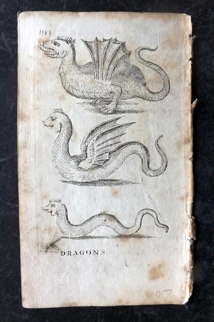 Boreman, Thomas 1738 Antique Print. Dragons, Turtles, Sea Bream: Copper Plates (Printed both sides) Published 1738, London for "A Description of Three Hundred Animals" by Thomas Boreman. Paper Size: 6 x 4 inch (15 x 10cm) Some toning, otherwise fine