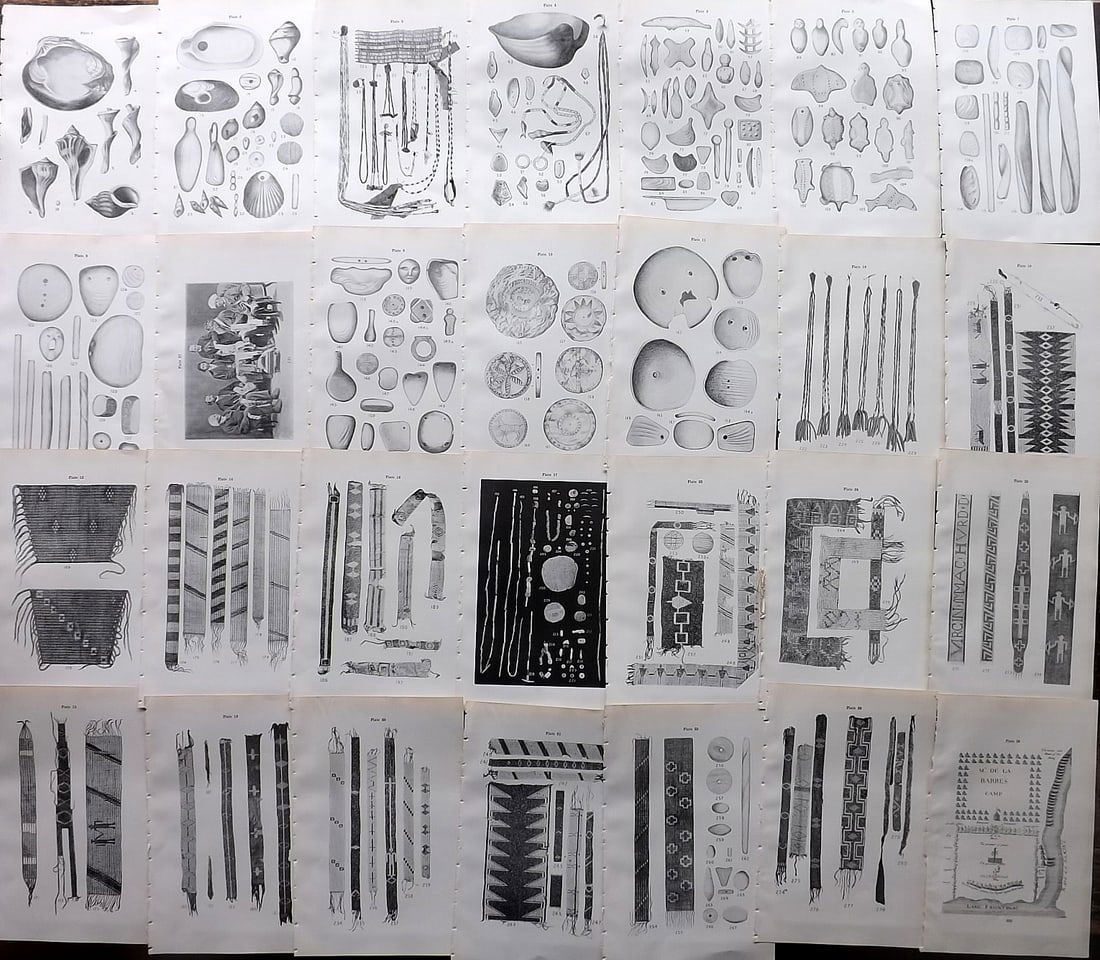 New York State Museum 1900 Lot of 28 Prints. Fossils, Shells: Offset Lithographs Published 1900, Albany for "New York State Museum 54th Annual Report of the Regents" Paper Size: 9 x 5.5 inch (23 x 14cm) Good Condition