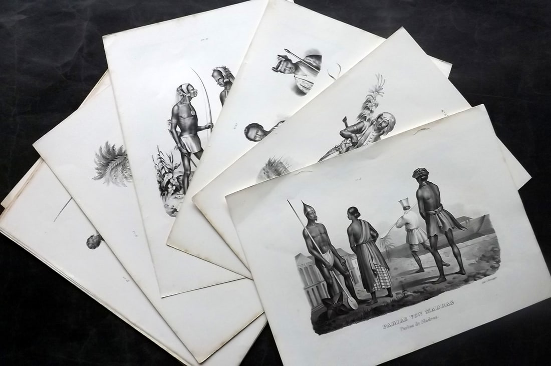 Schinz & Brodtmann C1840 Lot of 12 Folio Native Prints (1 of 7)