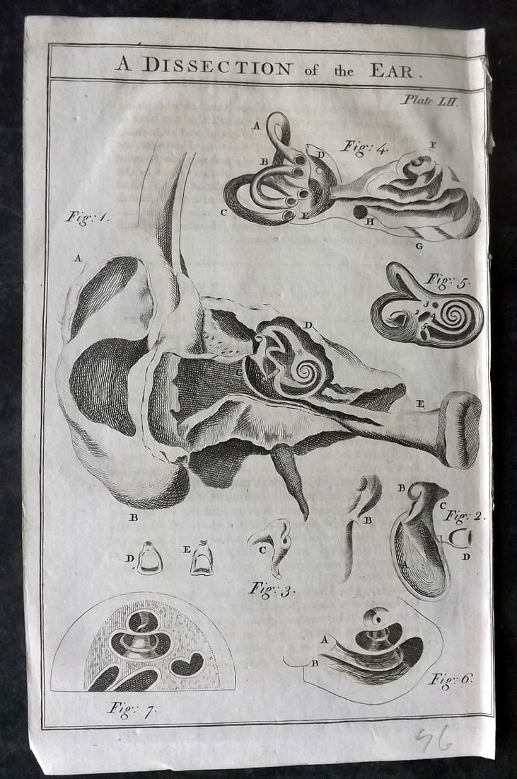 Martin, Benjamin 1772 Anatomy Print. Dissection of the Ear (1 of 1)