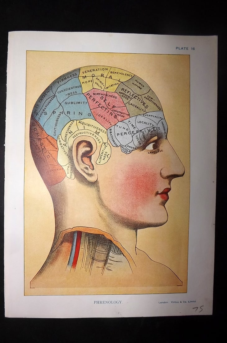 Virtue (Pub) 1923 Vintage Medical Print. Phrenology (1 of 1)