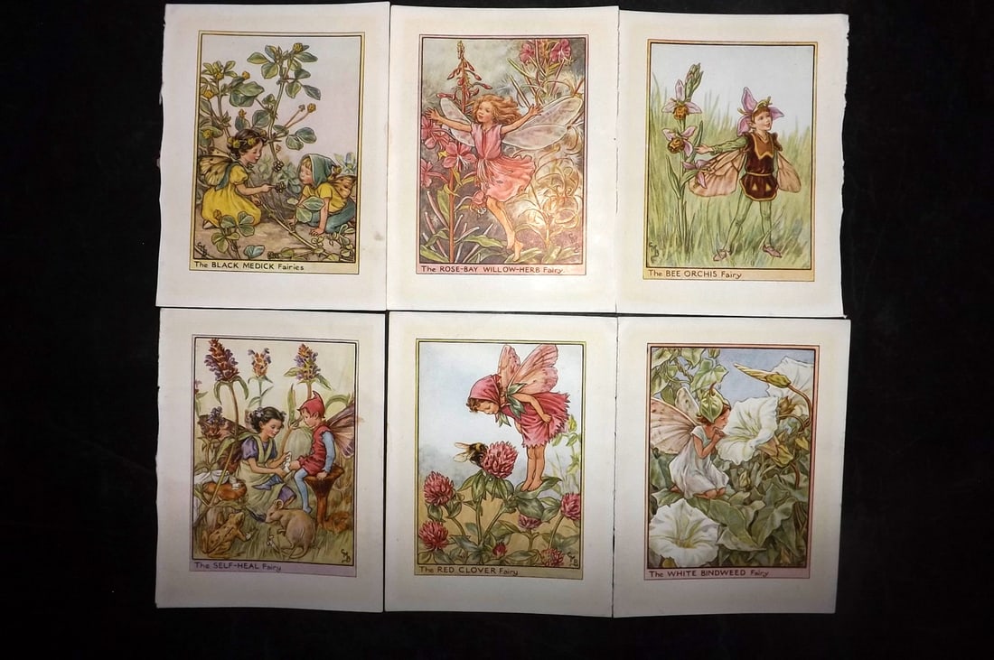 Barker, Cicely Mary C1940 Lot of 6 Flower-Fairy Prints - Wayside Fairies: Wayside Fairies. Lithographs Published C1935-45 by Blackie & Son, London & Glasgow for the "Flower-Fairies" Series by Cicely Mary Barker. Reverse side blank. Paper Size: 5.5 x 4 inch (14 x 10cm) Good