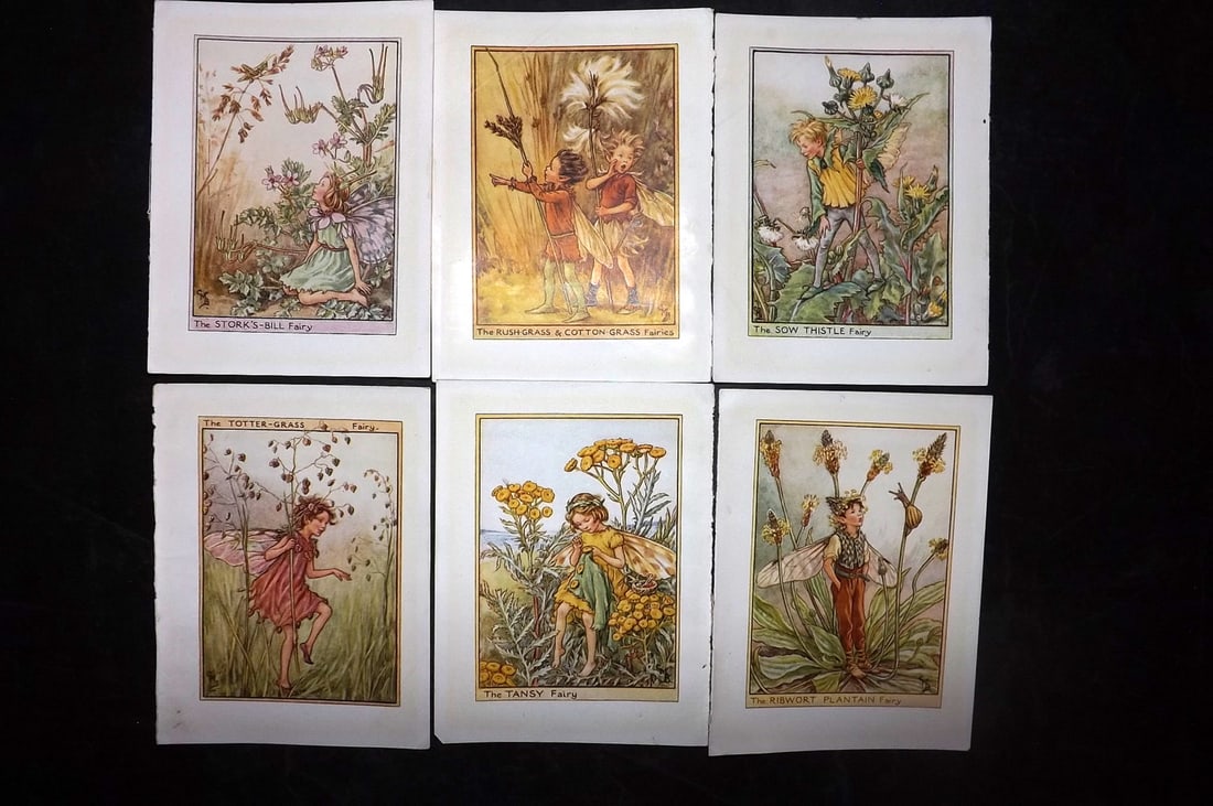 Barker, Cicely Mary C1940 Lot of 6 Flower-Fairy Prints - Wayside Fairies: Wayside Fairies. Lithographs Published C1935-45 by Blackie & Son, London & Glasgow for the "Flower-Fairies" Series by Cicely Mary Barker. Reverse side blank. Paper Size: 5.5 x 4 inch (14 x 10cm) Good 