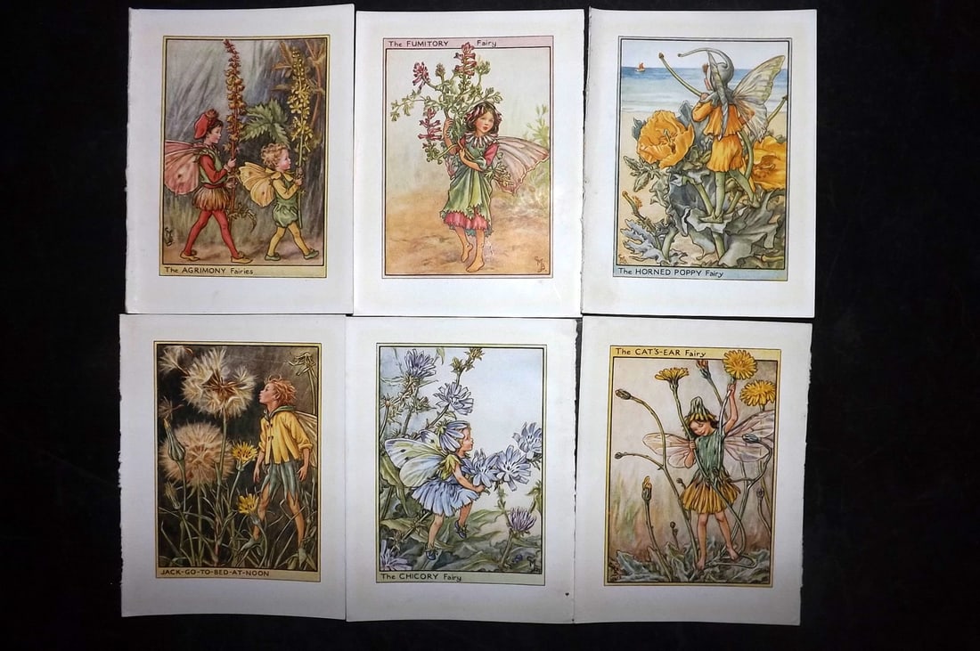 Barker, Cicely Mary C1940 Lot of 6 Flower-Fairy Prints - Wayside Fairies: Wayside Fairies. Lithographs Published C1935-45 by Blackie & Son, London & Glasgow for the "Flower-Fairies" Series by Cicely Mary Barker. Reverse side blank. Paper Size: 5.5 x 4 inch (14 x 10cm) Good 