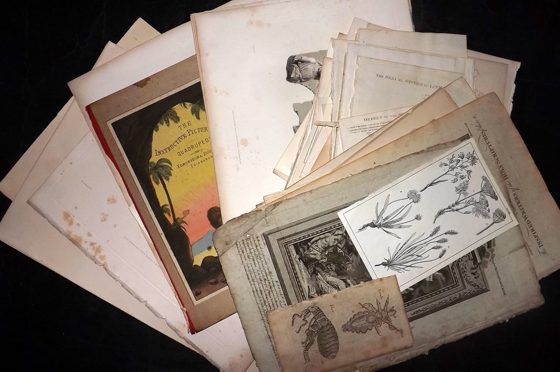 Mixed Prints 18th-19th Cent. Lot of 70 Antique Prints (1 of 11)