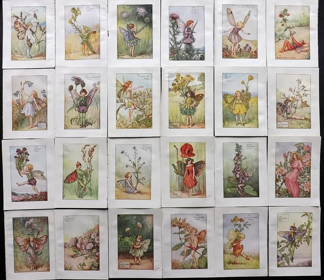 Barker, Cicely Mary C1940 Lot of 24 Flower-Fairy Prints - Summer Fairies: Summer Fairies. Lithographs Published C1935-45 by Blackie & Son, London & Glasgow for the "Flower-Fairies" Series by Cicely Mary Barker. Reverse side blank. Paper Size: 5.5 x 4 inch (14 x 10cm) Good C