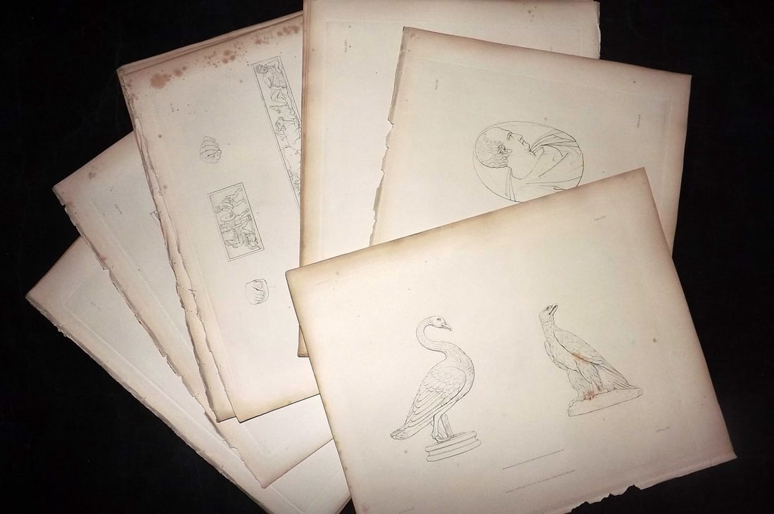 BM Marbles 1846 Lot of 15 Greco-Roman Antiquities Prints (1 of 8)