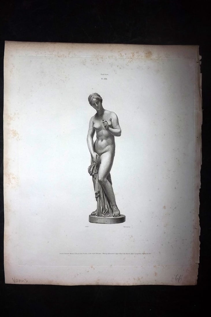 BM Marbles 1815 Folio Roman Statue Print. Venus: Copper Plates Published 1812-61, London for "A Description of the Collection of Ancient Marbles in the British Museum" by the British Museum, Department of Greek and Roman Antiquities. Paper Size: 13.