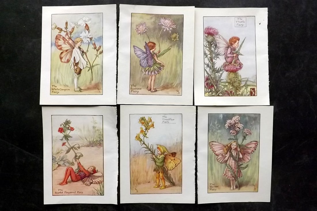 Barker, Cicely Mary C1940 Lot of 6 Flower-Fairy Prints - Summer Fairies: Summer Fairies. Lithographs Published C1935-45 by Blackie & Son, London & Glasgow for the "Flower-Fairies" Series by Cicely Mary Barker. Reverse side blank. Paper Size: 5.5 x 4 inch (14 x 10cm) Good C