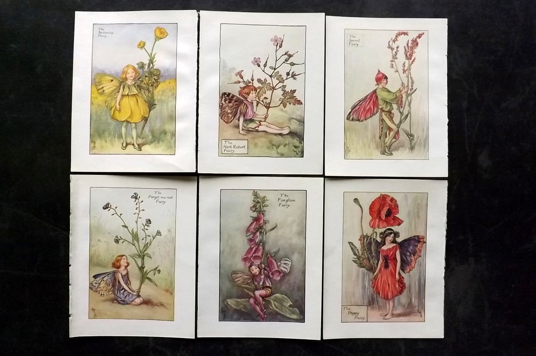 Barker, Cicely Mary C1940 Lot of 6 Flower-Fairy Prints - Summer Fairies: Summer Fairies. Lithographs Published C1935-45 by Blackie & Son, London & Glasgow for the "Flower-Fairies" Series by Cicely Mary Barker. Reverse side blank. Paper Size: 5.5 x 4 inch (14 x 10cm) Good C