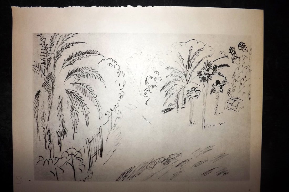 Matisse, Henrii 1969 Folio Scarce Print. Drawing 04: Lithograph Published 1969, New York for "Henri Matisse. Drawings And Paper Cut-Outs" by Raoul Jean Moulin. Paper Size: 12 x 9 inch (30.5 x 23cm) Good Condition
