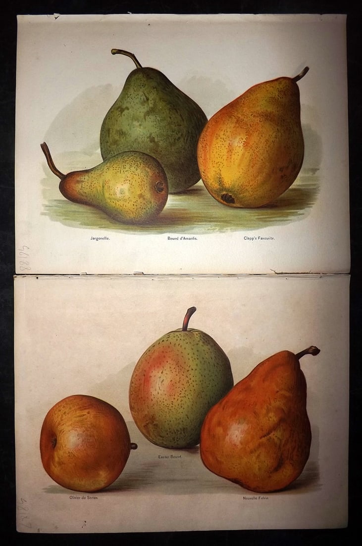 Wright, John 1894 Pair of Antique Prints (1 of 2)