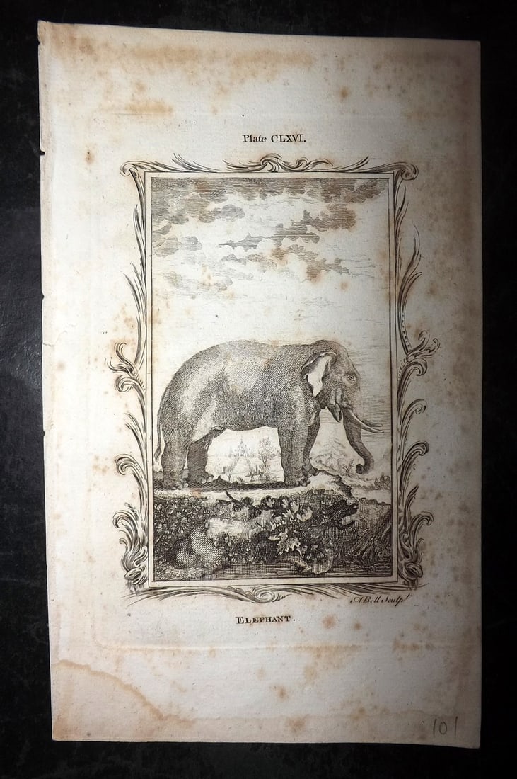 Buffon, Comte de 1791 Antique Print. Elephant (1 of 1)