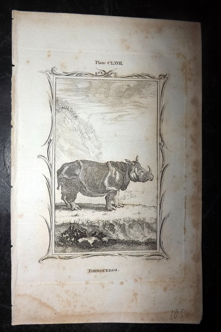 Buffon, Comte de 1791 Antique Print. Rhino (1 of 1)