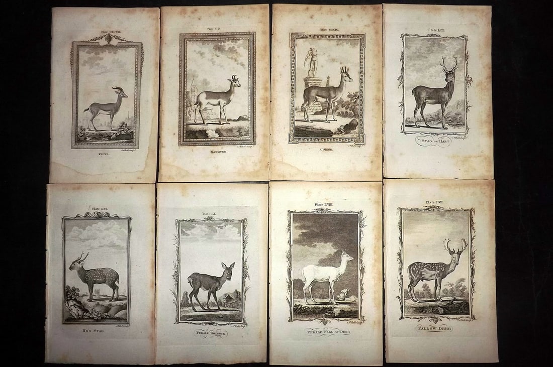 Buffon, Comte de 1791 Lot of 8 Animal Prints: Copper Plate Published 1791, London for "Natural History, General and Particular" by the Count de Buffon. Translated by William Smellie. Paper Size: 8.5 x 5 inch (22 x 13cm) Some toning present