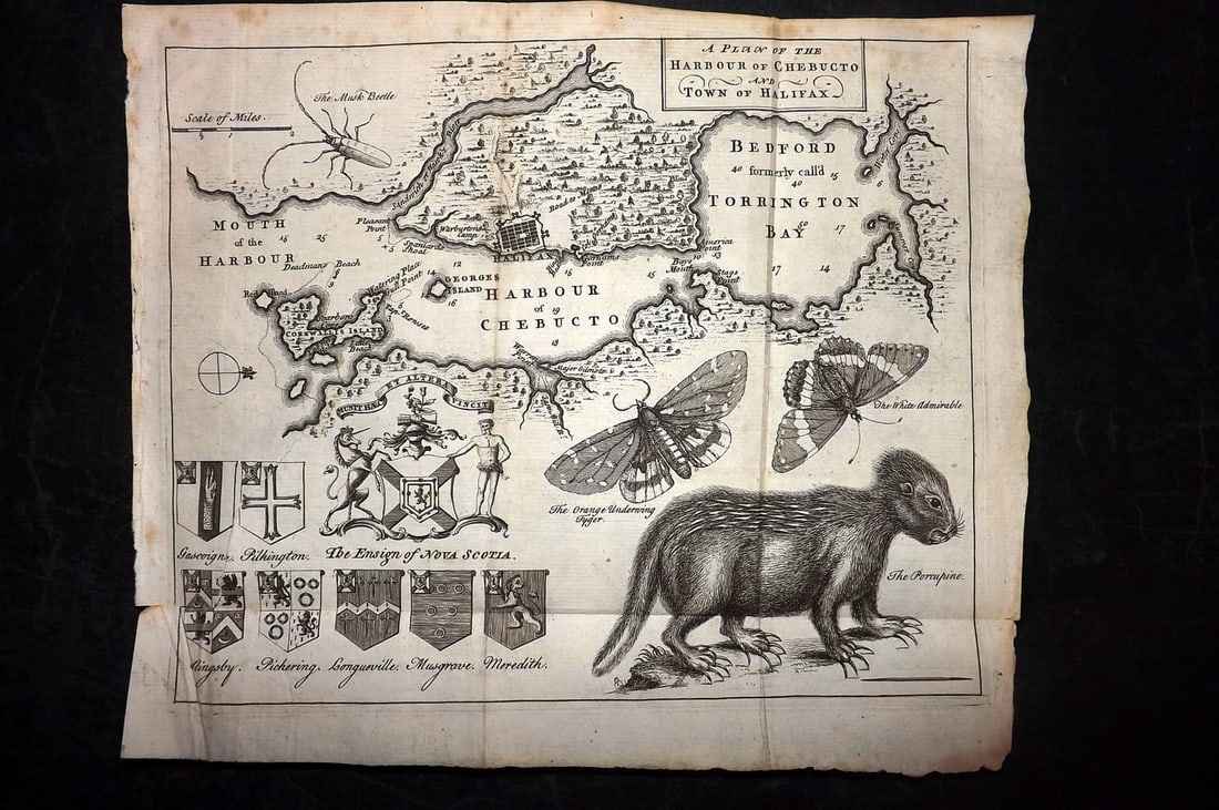 Gentleman's Magazine 1750 Map. Halifax, Nova Scotia, Canada (1 of 2)