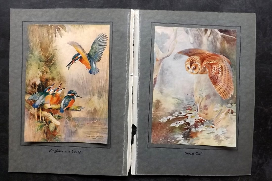 Green, Roland 1922 Pair of Bird Prints. Owls & Kingishers (1 of 2)