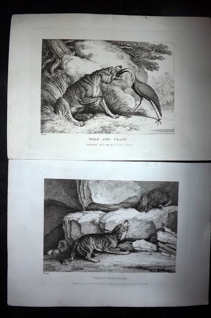 Howitt, Samuel 1811 Pair of Etchings. Dog Prints (1 of 2)