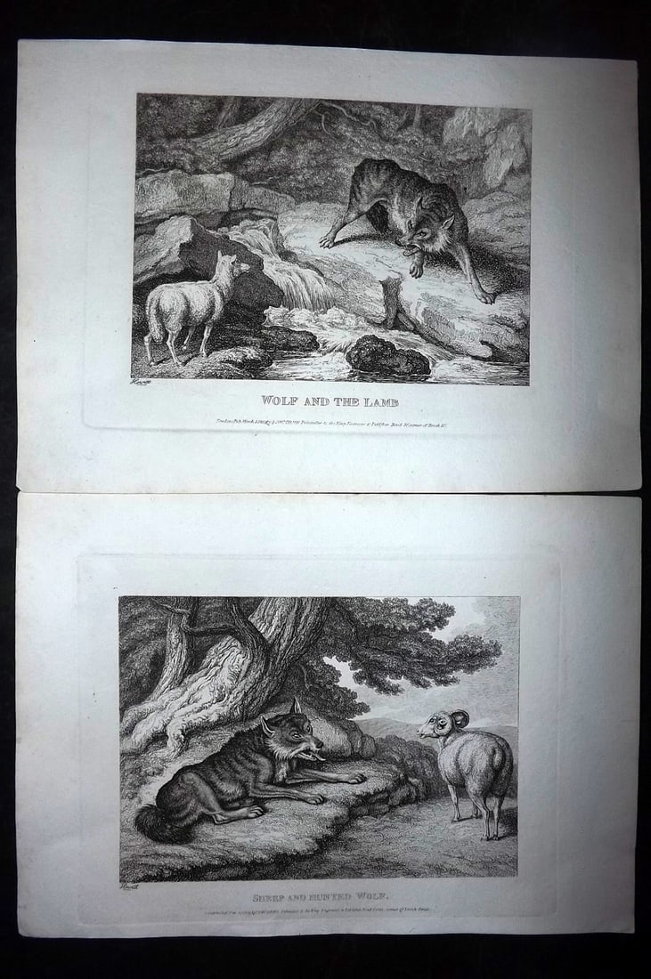 Howitt, Samuel 1811 Pair of Etchings. Wolves & Sheep (1 of 2)