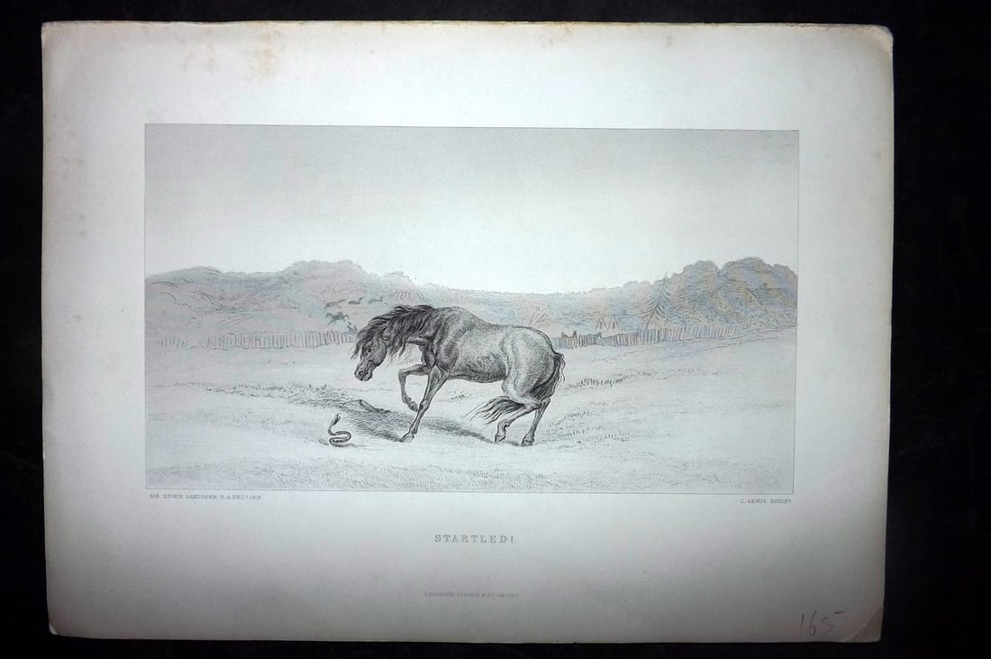 Landseer, Edwin 1880 Folio Horse Prints. Startled! (1 of 2)