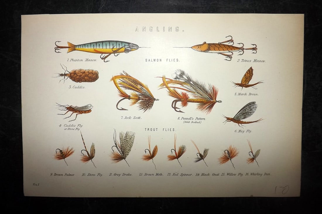 National Encyclopedia 1891 Print. Angling. Fly Fishing Flies (1 of 1)