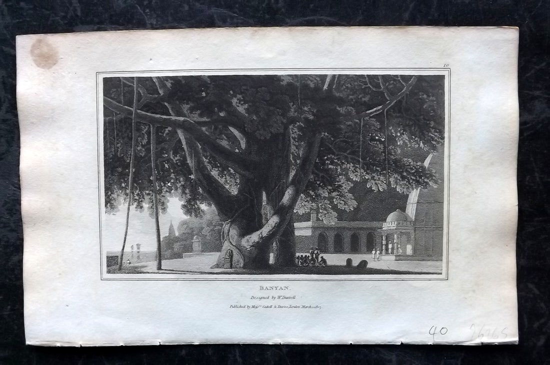 Daniell, William 1807 Botanical Print. Bayan Tree: Aquatint Published 1807, London for "Zoography; or, The Beauties of Nature Displayed" by William Wood. Illustrated by William Daniell. Paper Size: 10.5 x 6.5 inch (27 x 16.5cm) Very minor margin tonin