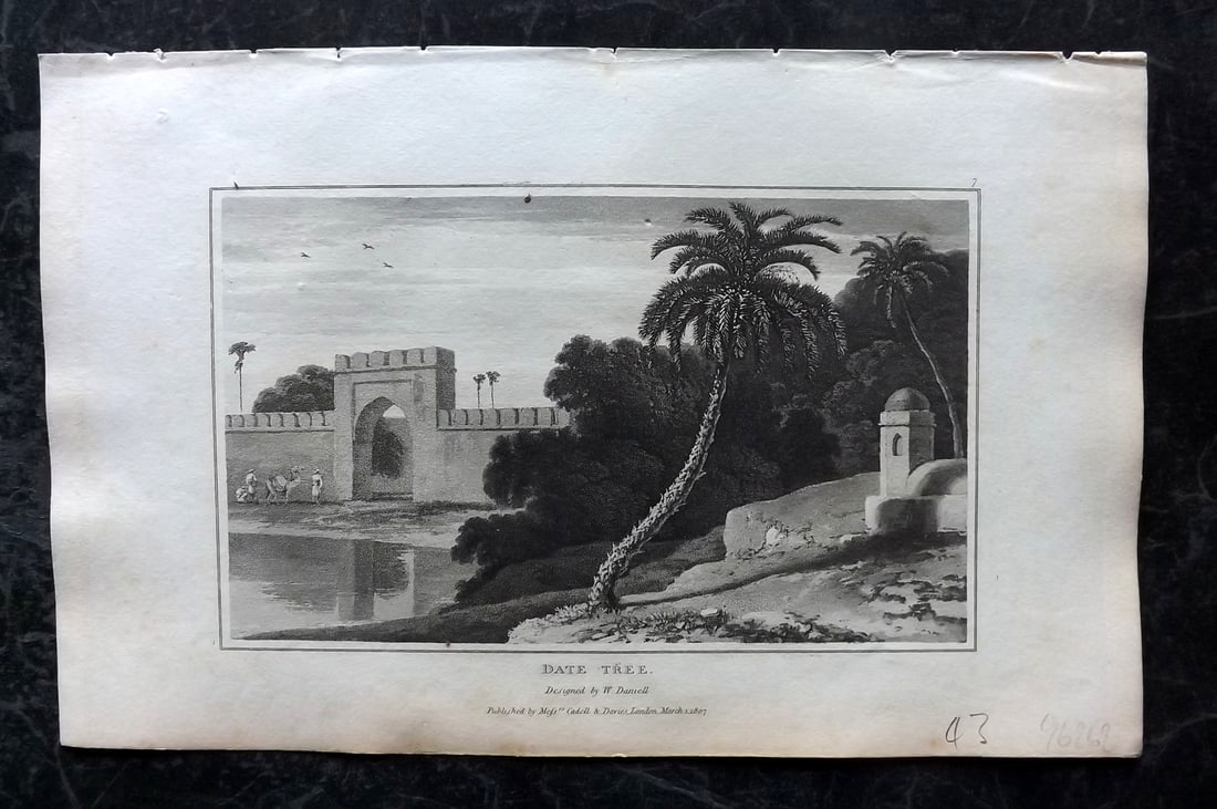 Daniell, William 1807 Botanical Print. Date Tree: Aquatint Published 1807, London for "Zoography; or, The Beauties of Nature Displayed" by William Wood. Illustrated by William Daniell. Paper Size: 10.5 x 6.5 inch (27 x 16.5cm) Very minor margin tonin