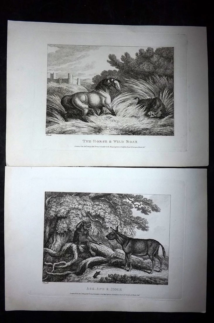 Howitt, Samuel 1811 Pair of Etchings. Horse, Ass, Ape (1 of 2)