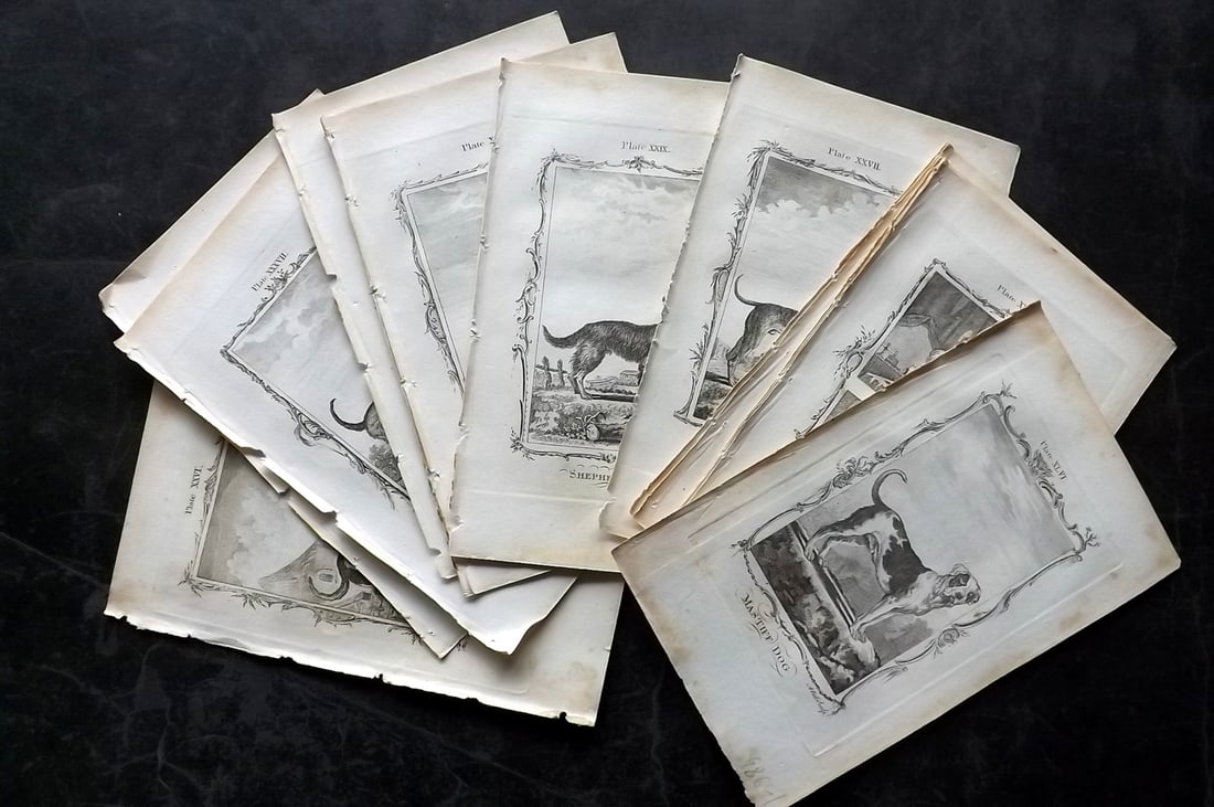 Buffon, Comte de 1791 Lot of 17 Antique Prints. Dogs: Copper Plate Published 1791, London for "Natural History, General and Particular" by the Count de Buffon. Translated by William Smellie. Paper Size: 8.5 x 5 inch (22 x 13cm) Tone spotting in parts, mo