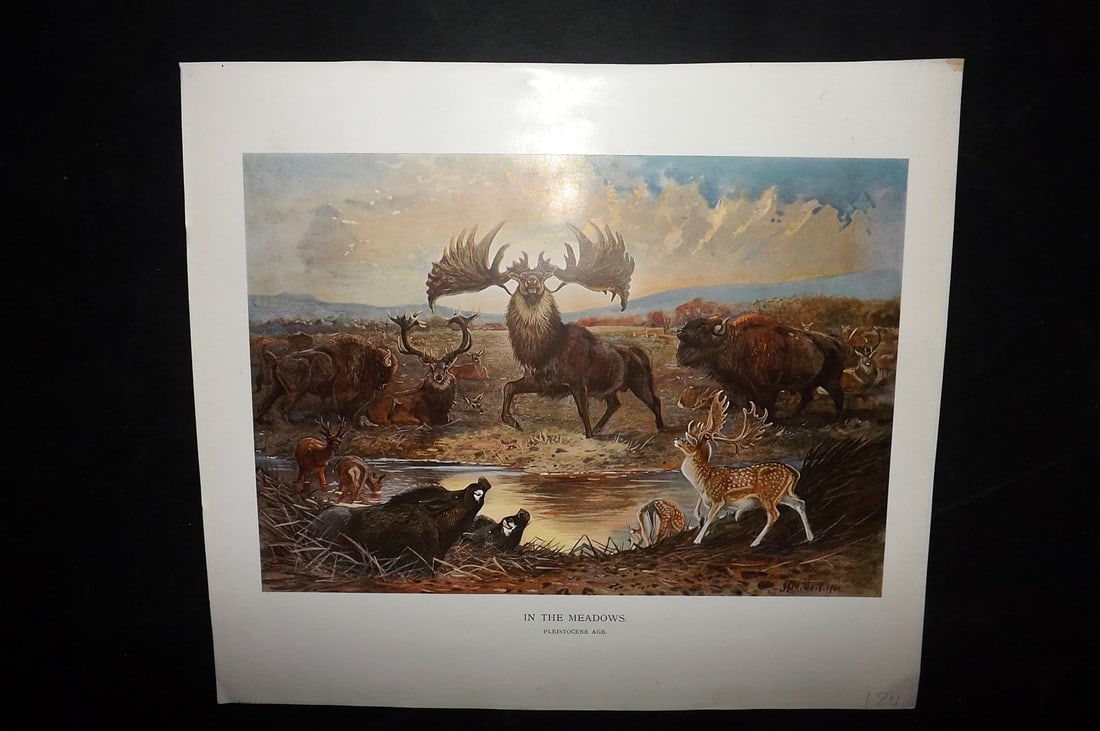 Millais, John 1904 Rare Folio Print. In the Meadows (1 of 1)